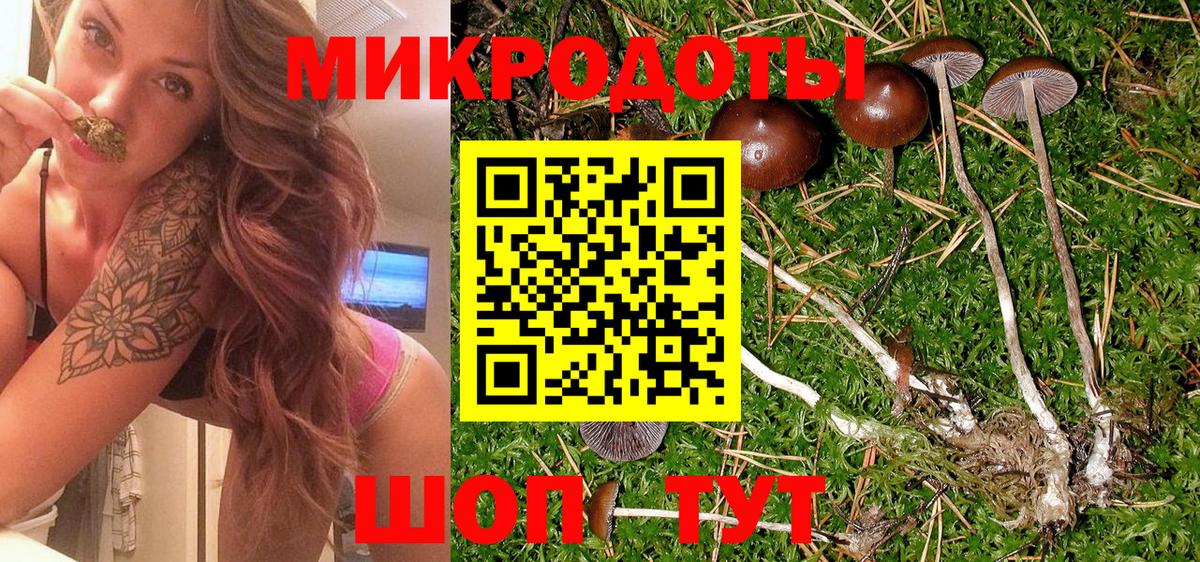 Псилоцибиновые грибы прущие грибы Калуга